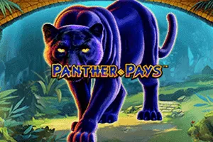 Playtech : Panther Pays - TROPICANA77